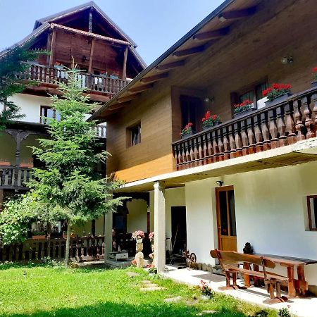 Pensiunea Perla Maramuresului Borşa Exterior foto
