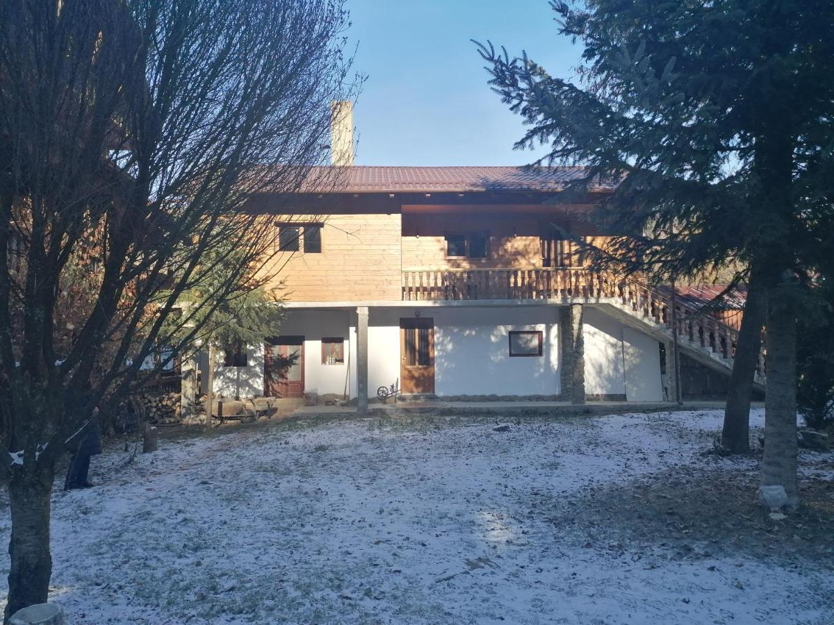 Pensiunea Perla Maramuresului Borşa Exterior foto