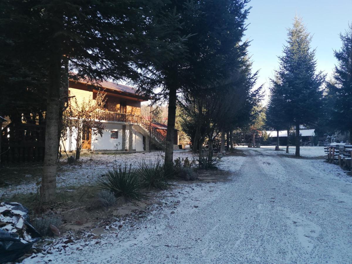 Pensiunea Perla Maramuresului Borşa Exterior foto