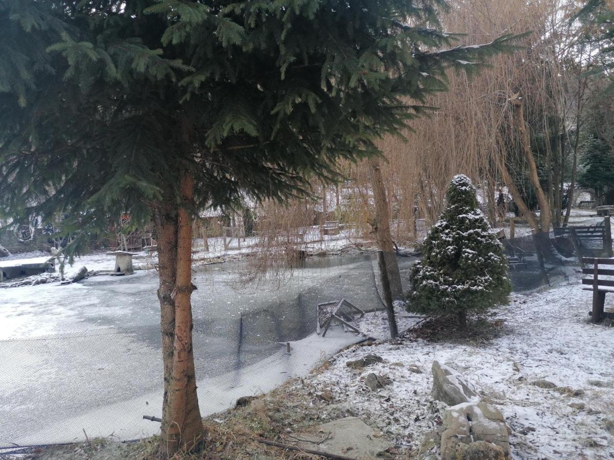 Pensiunea Perla Maramuresului Borşa Exterior foto
