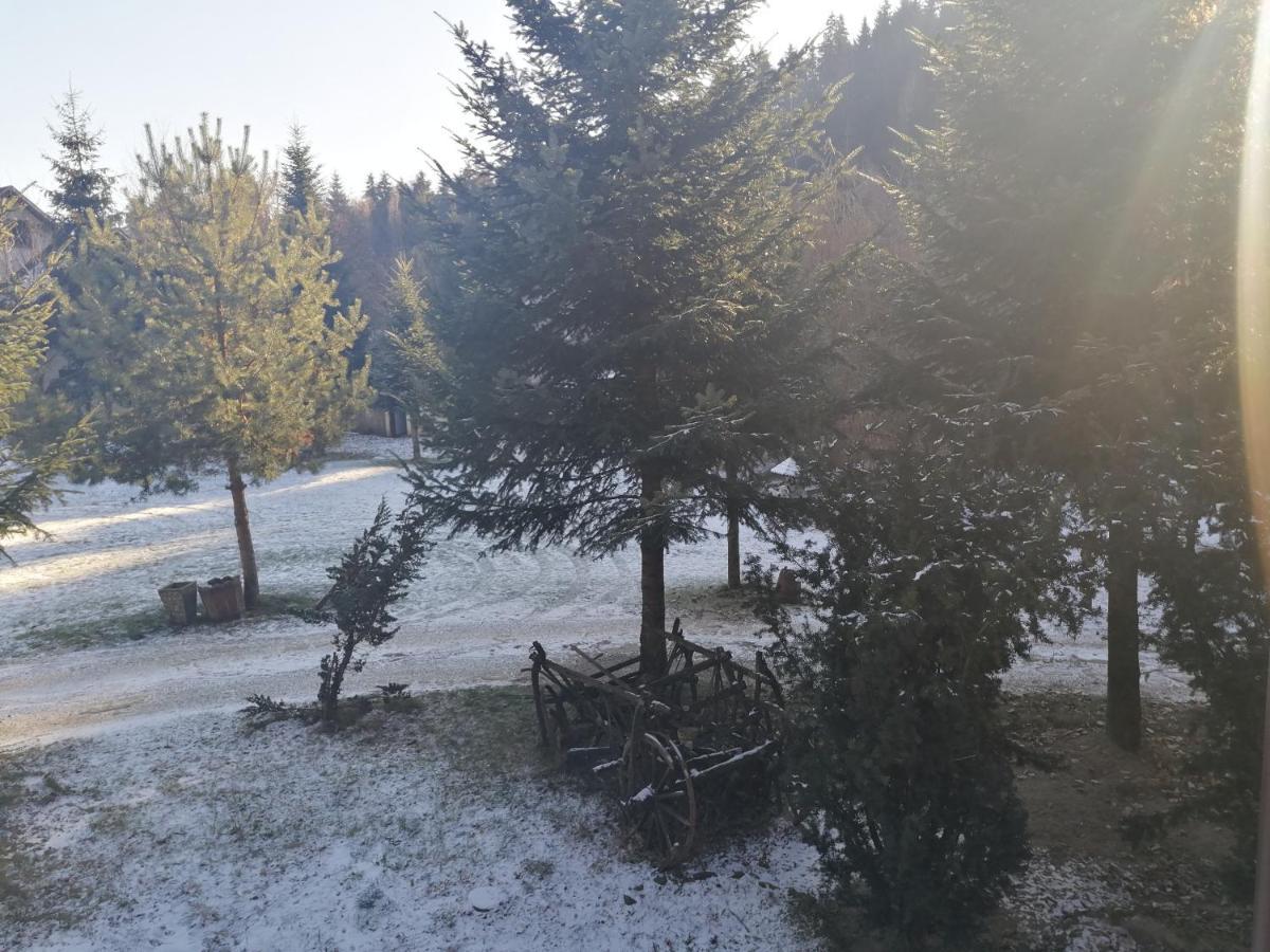 Pensiunea Perla Maramuresului Borşa Exterior foto