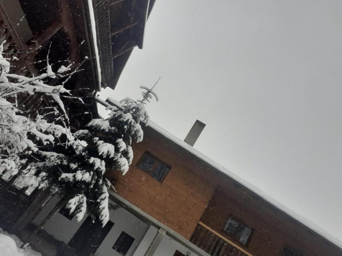 Pensiunea Perla Maramuresului Borşa Exterior foto