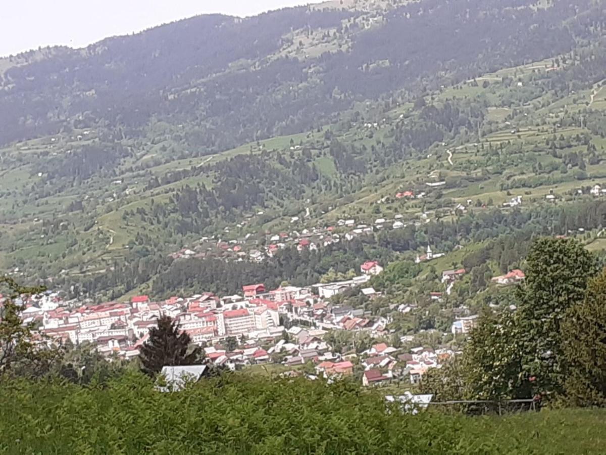 Pensiunea Perla Maramuresului Borşa Exterior foto
