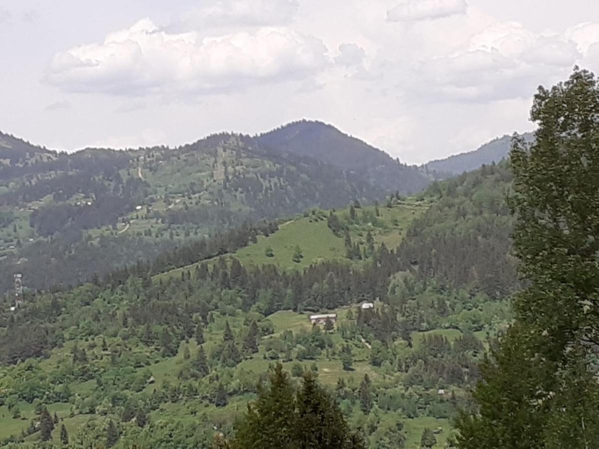 Pensiunea Perla Maramuresului Borşa Exterior foto