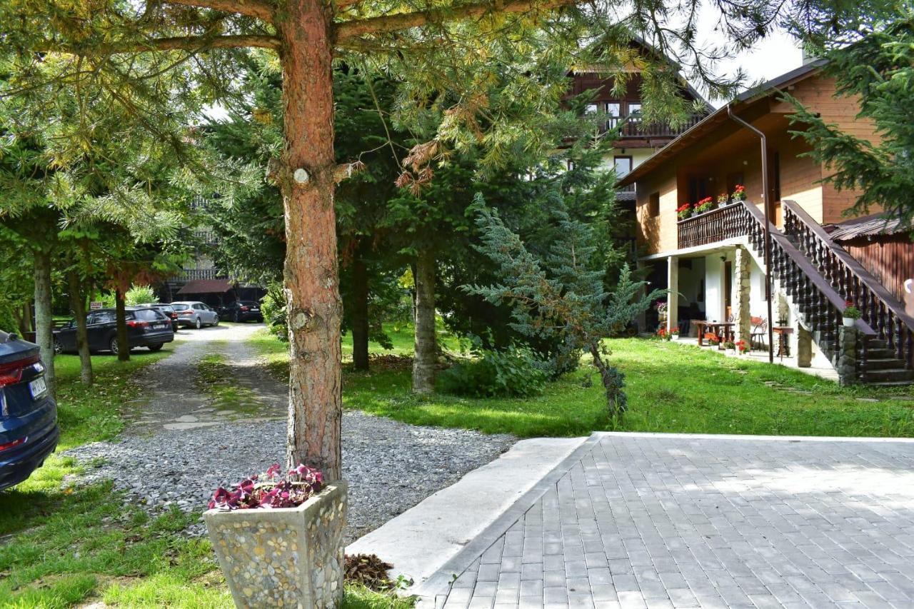 Pensiunea Perla Maramuresului Borşa Exterior foto