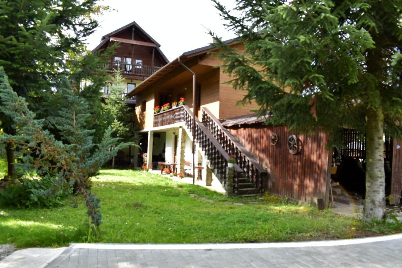 Pensiunea Perla Maramuresului Borşa Exterior foto