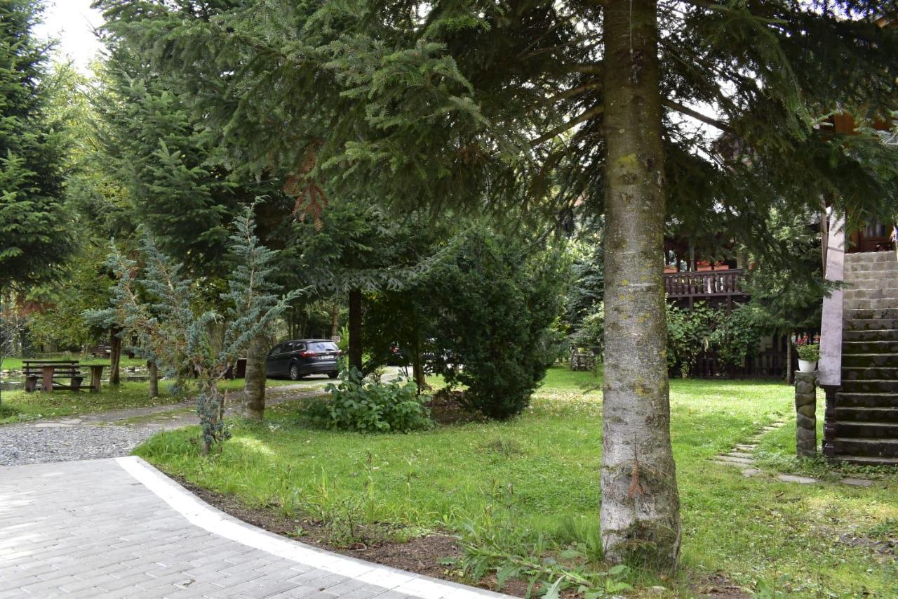 Pensiunea Perla Maramuresului Borşa Exterior foto