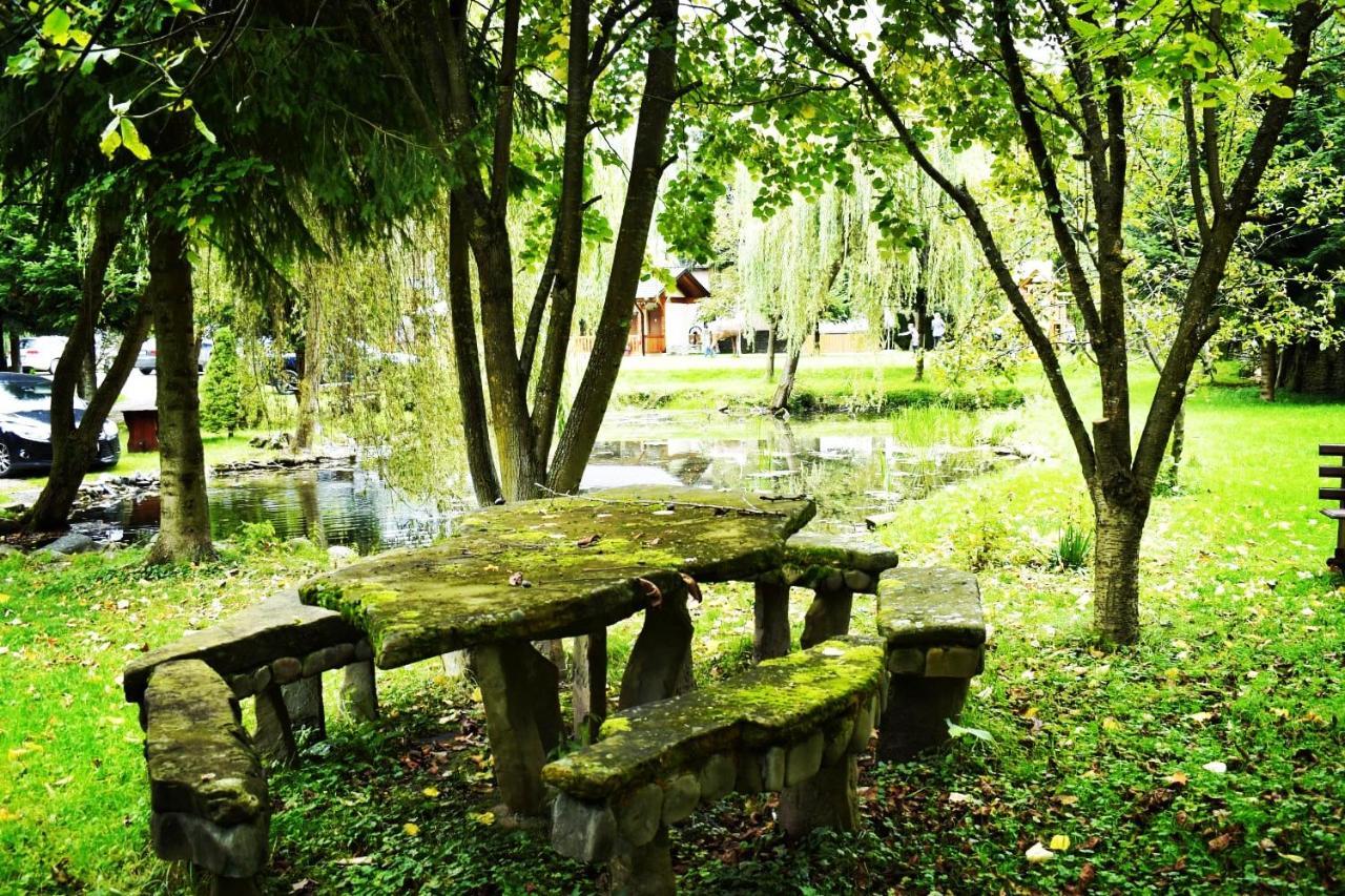 Pensiunea Perla Maramuresului Borşa Exterior foto