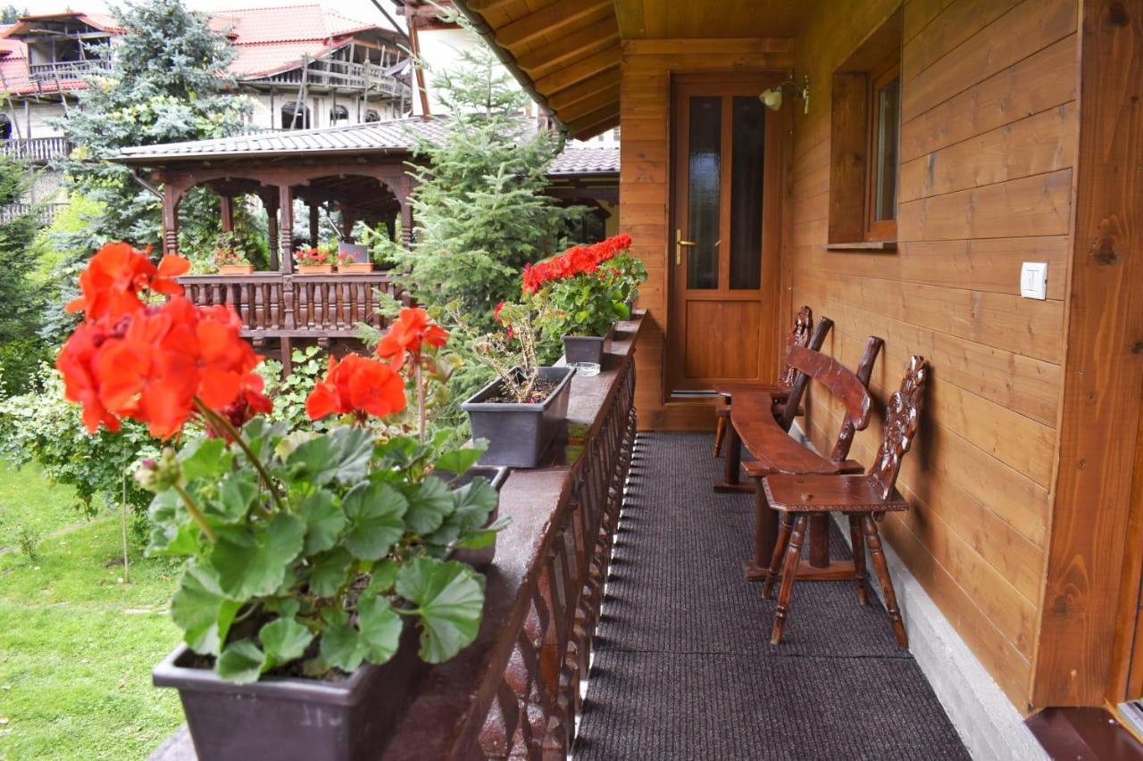 Pensiunea Perla Maramuresului Borşa Exterior foto