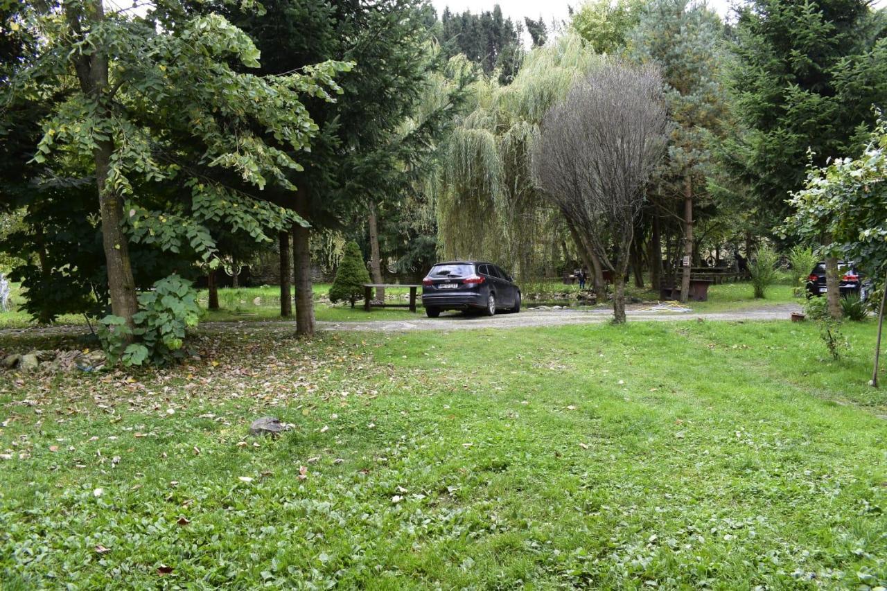 Pensiunea Perla Maramuresului Borşa Exterior foto