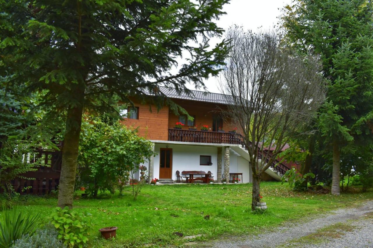Pensiunea Perla Maramuresului Borşa Exterior foto