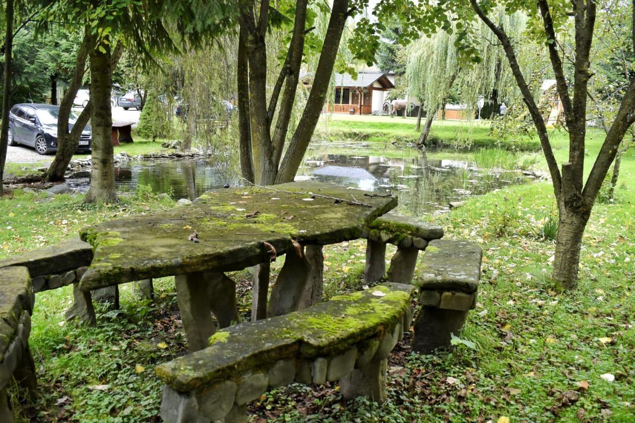 Pensiunea Perla Maramuresului Borşa Exterior foto